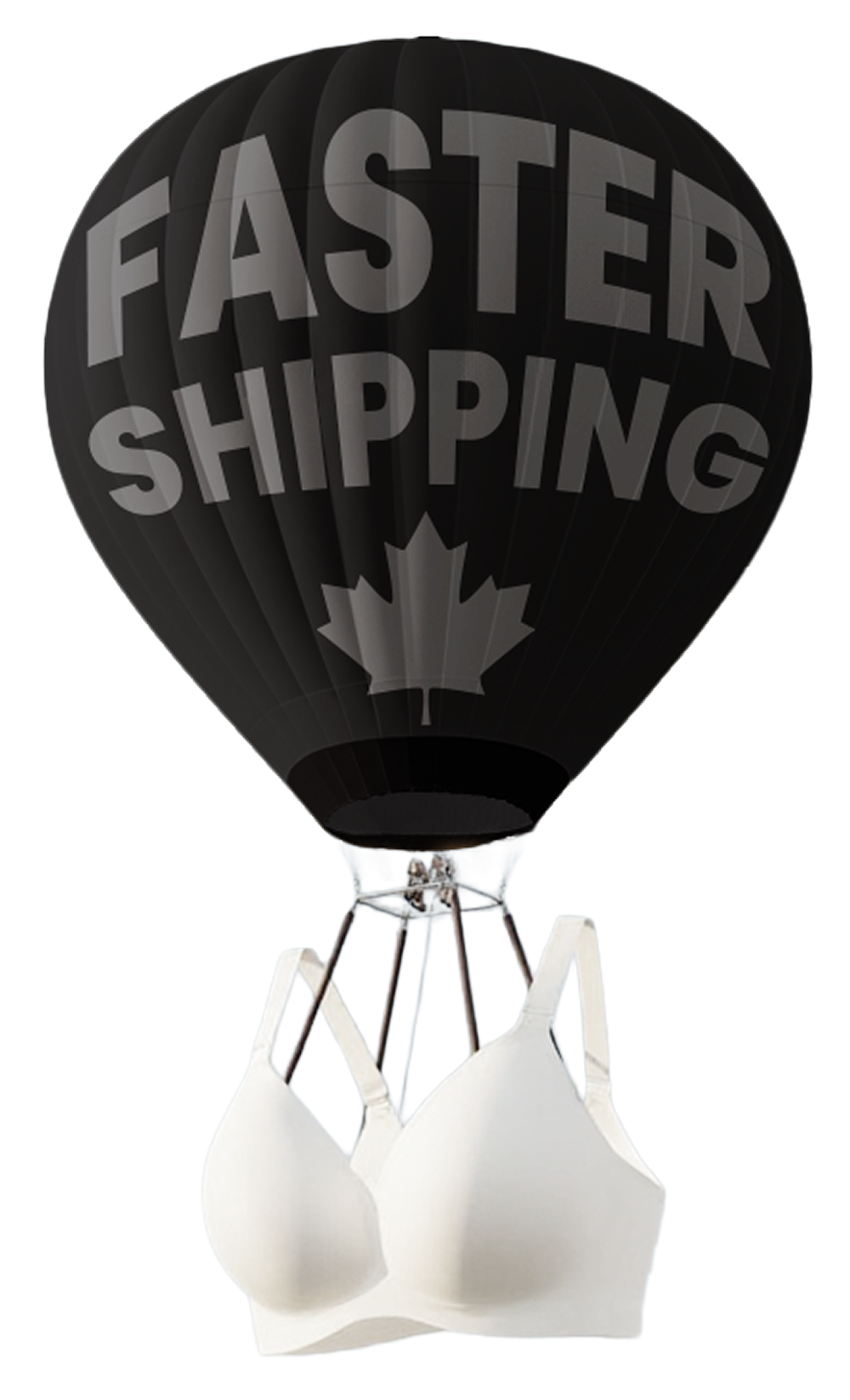 Faster Shipping Image