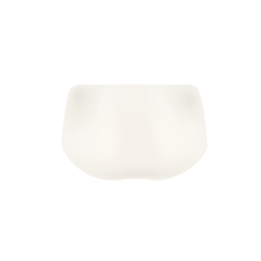 The Fit Panty
